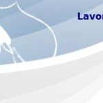 lavora_con_noi lavora_con_noi