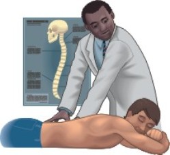 fisioterapista fisioterapista