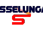 logo_esselunga logo_esselunga