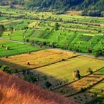 settoreagricolo