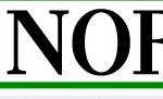 giornalista online giornalista online