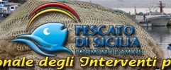 dipartimento2