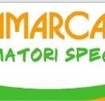 samarcanda animazione
