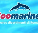 Zoomarine - Parco acquatico e divertimenti a Torvaianica, Roma - - Google Chrome