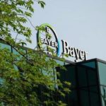 bayer lavoro
